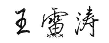 駱恆光王雷濤行書個性簽名怎么寫