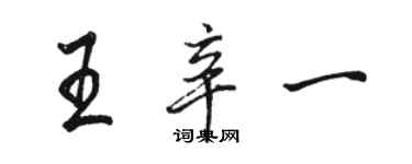 駱恆光王辛一行書個性簽名怎么寫