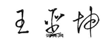 駱恆光王聖坤草書個性簽名怎么寫