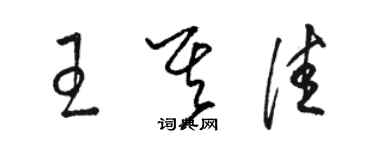 駱恆光王其佳草書個性簽名怎么寫