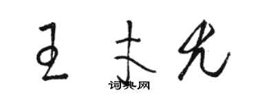 駱恆光王才尤草書個性簽名怎么寫