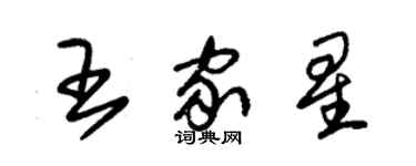 朱錫榮王家星草書個性簽名怎么寫