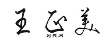 駱恆光王正美行書個性簽名怎么寫