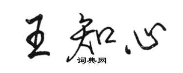 駱恆光王知心行書個性簽名怎么寫