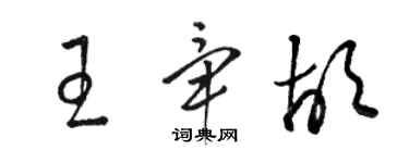 駱恆光王畢胡草書個性簽名怎么寫