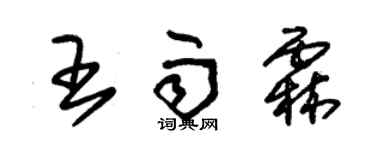 朱錫榮王雨霖草書個性簽名怎么寫
