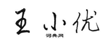 駱恆光王小優行書個性簽名怎么寫