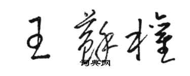 駱恆光王蘇權草書個性簽名怎么寫