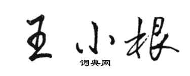 駱恆光王小根行書個性簽名怎么寫