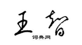 梁錦英王智草書個性簽名怎么寫