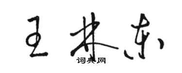 駱恆光王林東草書個性簽名怎么寫