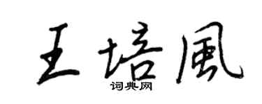 王正良王培風行書個性簽名怎么寫