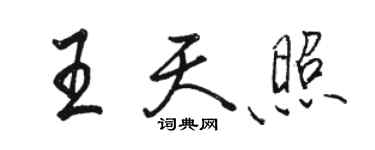 駱恆光王天照行書個性簽名怎么寫