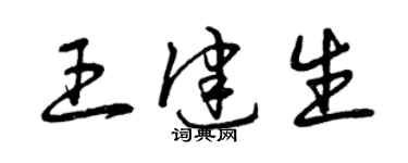 曾慶福王健生草書個性簽名怎么寫