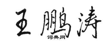 駱恆光王鵬濤行書個性簽名怎么寫