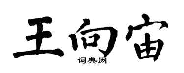 翁闓運王向宙楷書個性簽名怎么寫