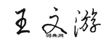 駱恆光王文遊行書個性簽名怎么寫