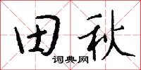 田秋怎么寫好看