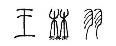 陳墨王林羽篆書個性簽名怎么寫