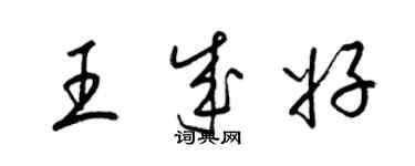 梁錦英王成好草書個性簽名怎么寫