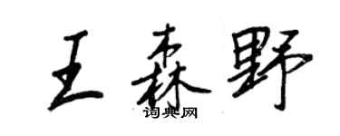 王正良王森野行書個性簽名怎么寫