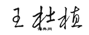 駱恆光王杜植草書個性簽名怎么寫