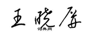 梁錦英王曉屏草書個性簽名怎么寫