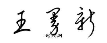 梁錦英王曼新草書個性簽名怎么寫