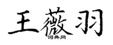 丁謙王薇羽楷書個性簽名怎么寫