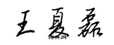 王正良王夏磊行書個性簽名怎么寫