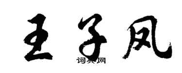 胡問遂王子鳳行書個性簽名怎么寫