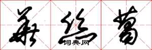 朱錫榮華絲葛草書怎么寫