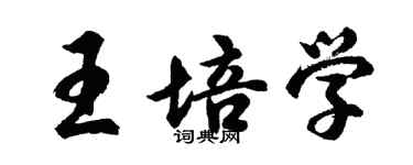 胡問遂王培學行書個性簽名怎么寫