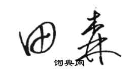 駱恆光田森草書個性簽名怎么寫