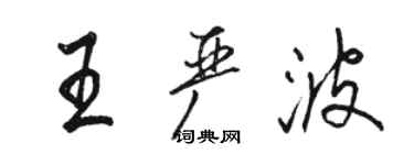 駱恆光王嚴波行書個性簽名怎么寫