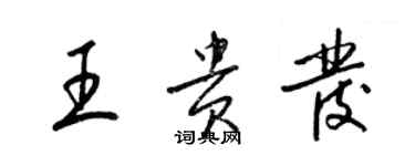 梁錦英王貴發草書個性簽名怎么寫