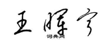 梁錦英王暉寧草書個性簽名怎么寫