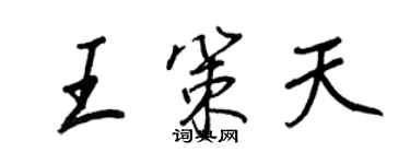 王正良王策天行書個性簽名怎么寫