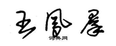 朱錫榮王鳳群草書個性簽名怎么寫