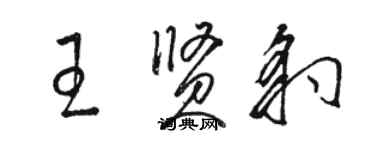 駱恆光王賢豹草書個性簽名怎么寫