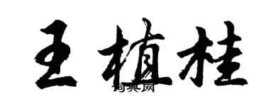 胡問遂王植桂行書個性簽名怎么寫