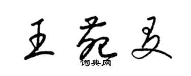 梁錦英王苑友草書個性簽名怎么寫