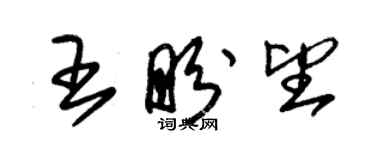 朱錫榮王盼望草書個性簽名怎么寫