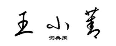 梁錦英王小菁草書個性簽名怎么寫