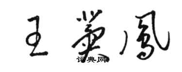 駱恆光王冀鳳草書個性簽名怎么寫