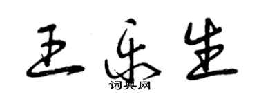 曾慶福王樂生草書個性簽名怎么寫