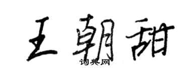 王正良王朝甜行書個性簽名怎么寫