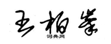 朱錫榮王柏峰草書個性簽名怎么寫