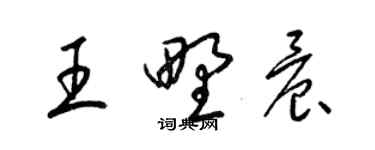 梁錦英王野晨草書個性簽名怎么寫