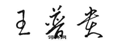 駱恆光王普貴草書個性簽名怎么寫